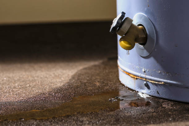 Best Fire Damage Restoration  in Saybrook Manor, CT