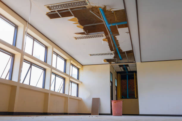 Best Water damage restoration experts  in Saybrook Manor, CT