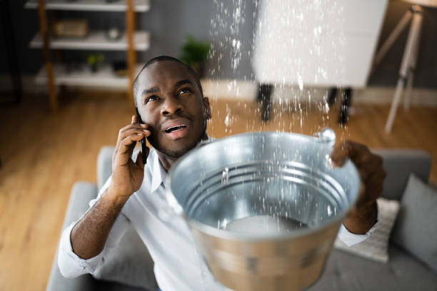 Best Carpet water damage restoration  in Saybrook Manor, CT