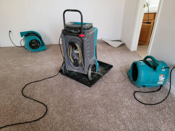 Water damage restoration insurance claims in CT
