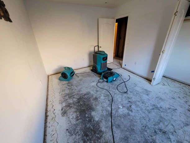 Local water damage restoration in CT