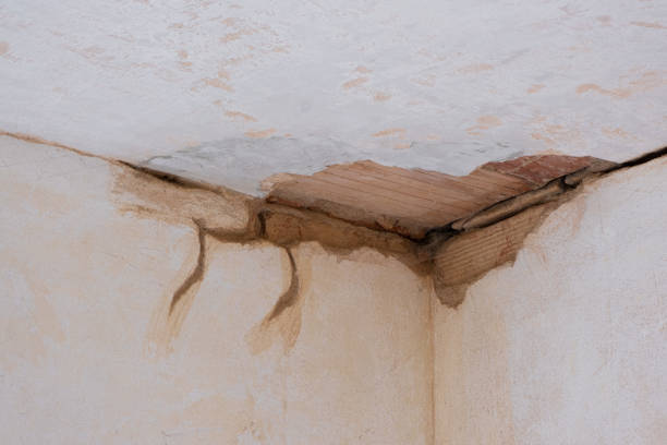 Best Water damage restoration near me  in Saybrook Manor, CT