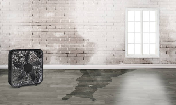Best Water damage restoration near me  in Saybrook Manor, CT