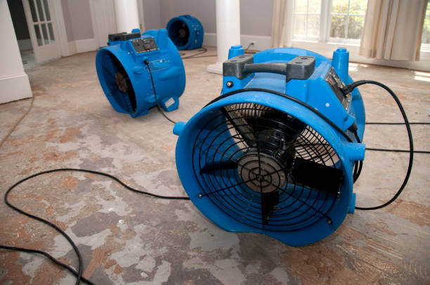 Best Residential water damage restoration  in Saybrook Manor, CT