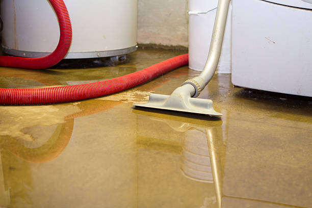 Best Basement water damage restoration  in Saybrook Manor, CT