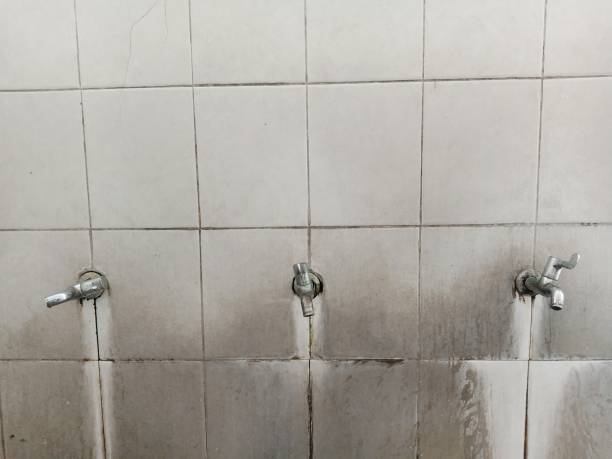 Best Water damage contractors near me  in Saybrook Manor, CT